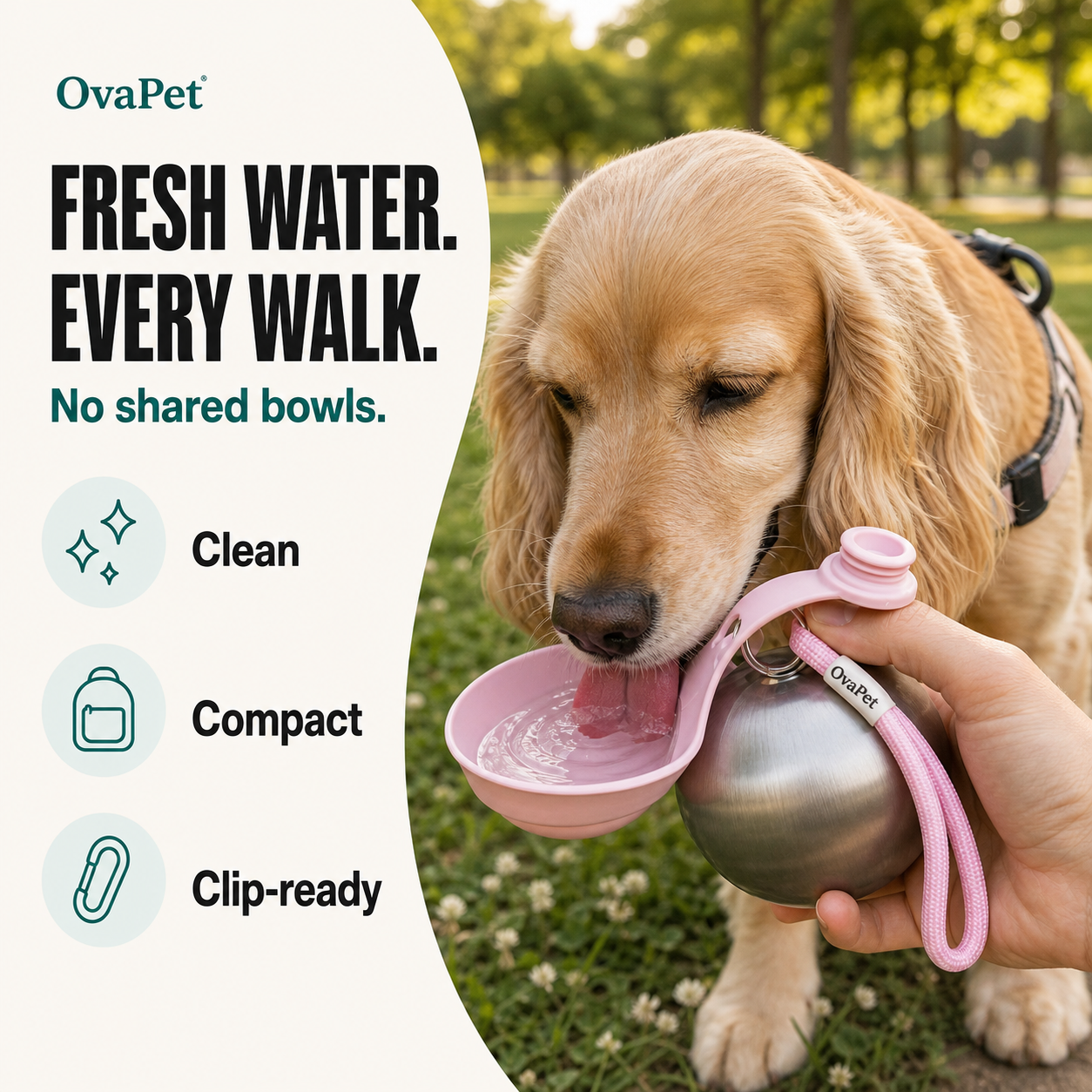 Portable Dog Water Bottle with Built-In Bowl