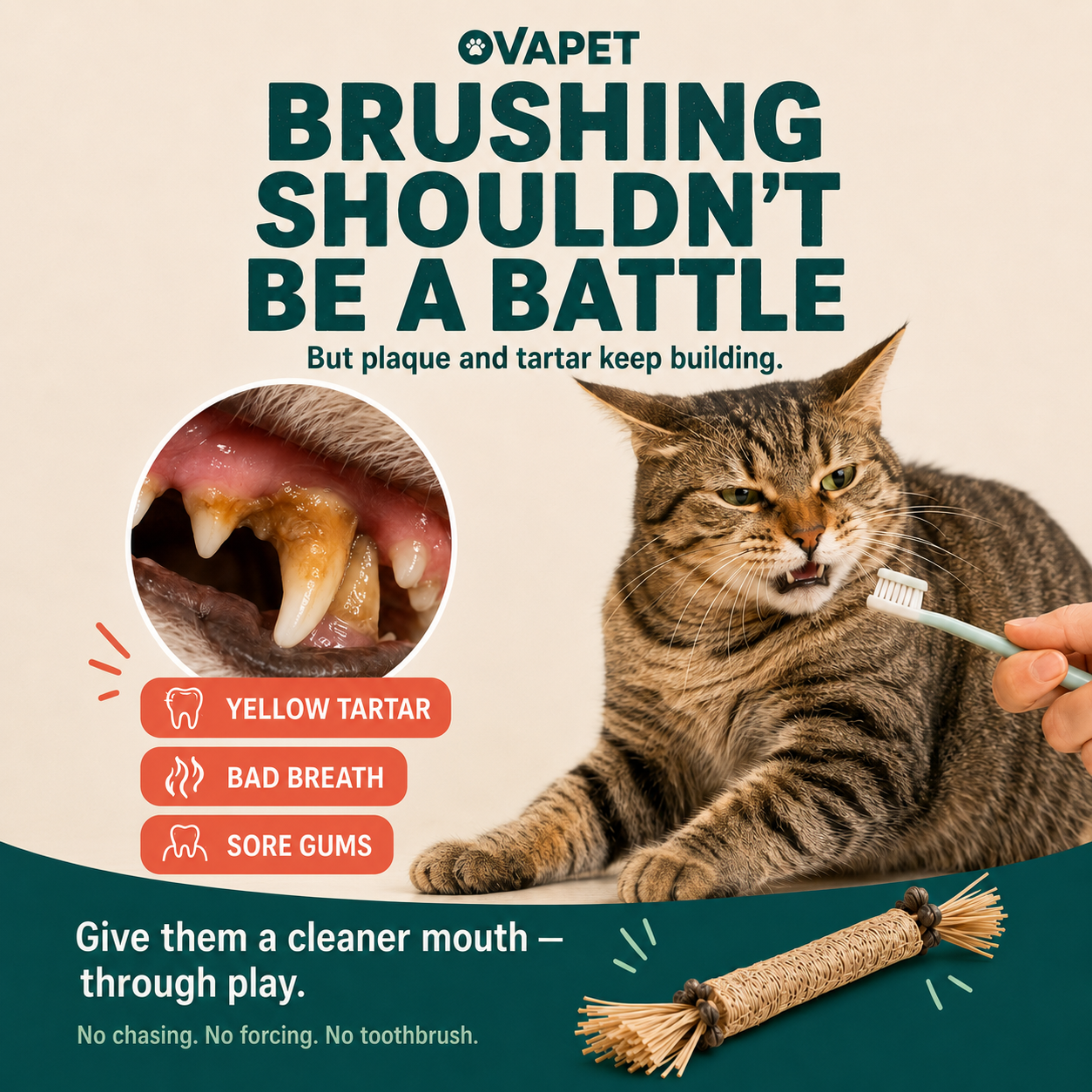 OvaPet Silvervine Chew Sticks