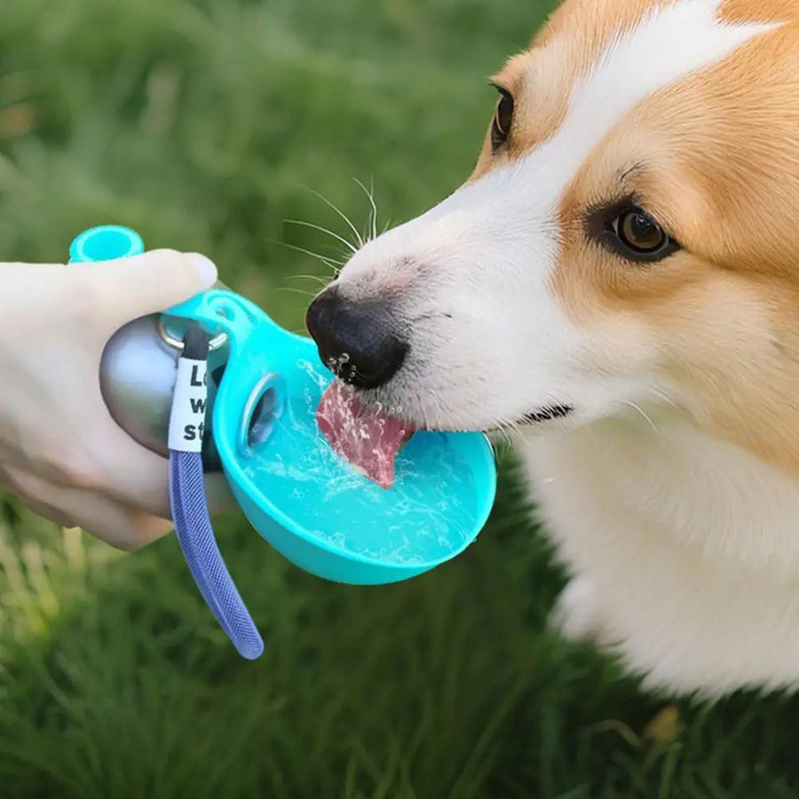 Dog parks