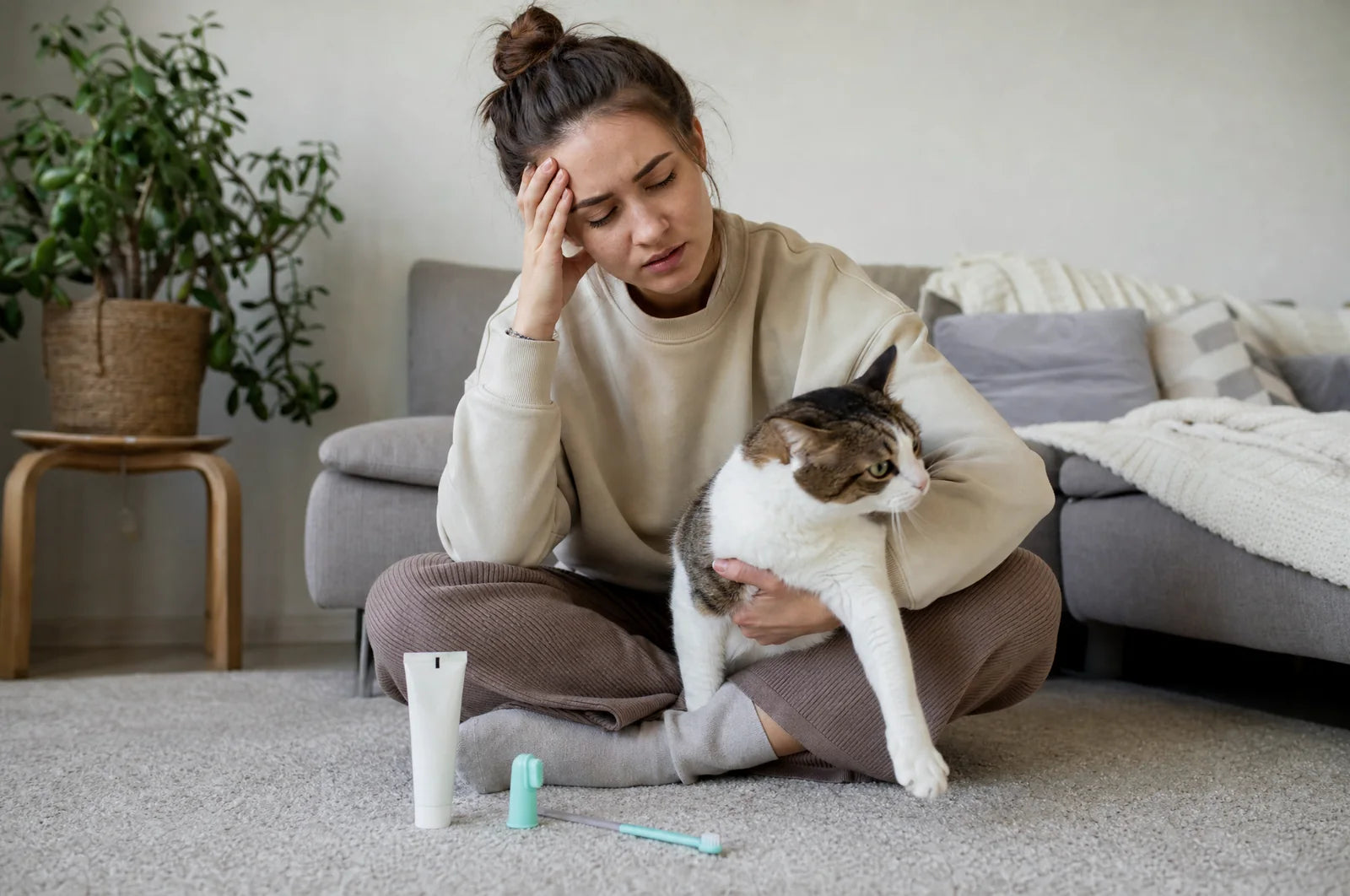 Cat owner after another difficult tooth-brushing attempt