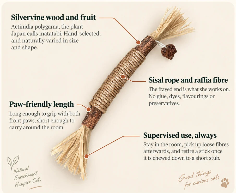 OvaPet silvervine chew stick anatomy with silvervine wood, sisal rope, raffia fibres and supervised-use callouts